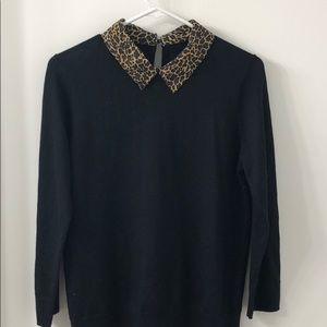 Leopard collar/merino wool JCREW sweater